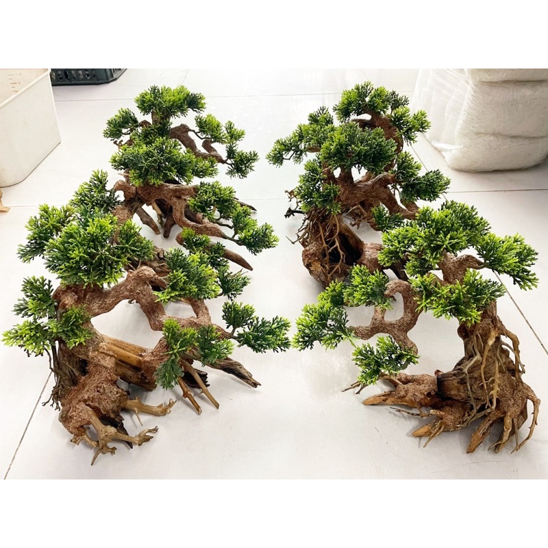 Cây bonsai trang trí hồ cá , cây đã qua xử lý về là thả hồ