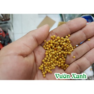 Phân vàng Osmocote 14-14-14 tan chậm 100g dùng hoa lan, hồng.., phân tan chậm