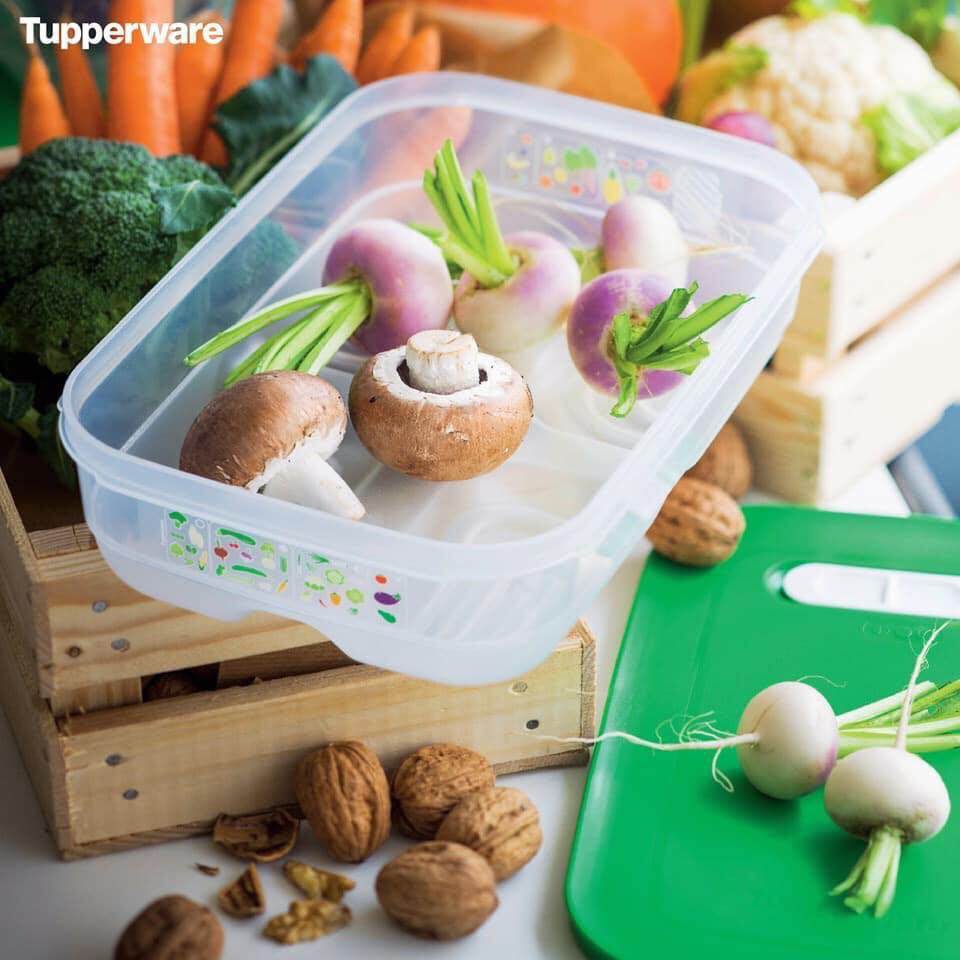 Hộp trữ mát có nút hô hấp Ventsmart 1.8L thấp - Hộp nhựa cao cấp Tupperware