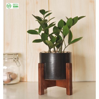 Kệ để chậu hoa, kệ để chậu cây cảnh mini để bàn loại chân vuông - Chân kệ gỗ tần bì màu nâu hạt dẻ, lắp ghép đơn giản