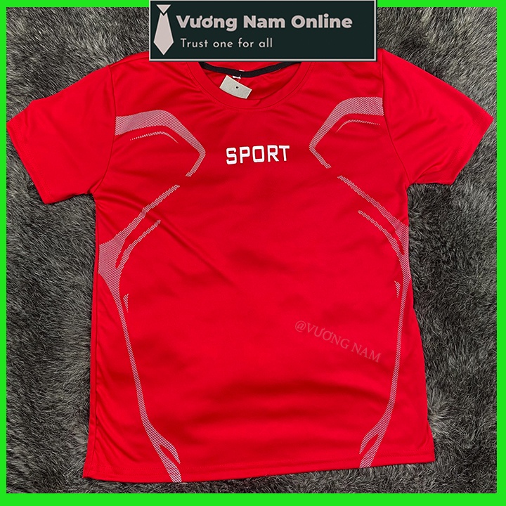 Áo thể thao nam SPORT ngắn tay cổ tròn đẹp vải thun lạnh cao cấp VN96B | BigBuy360 - bigbuy360.vn