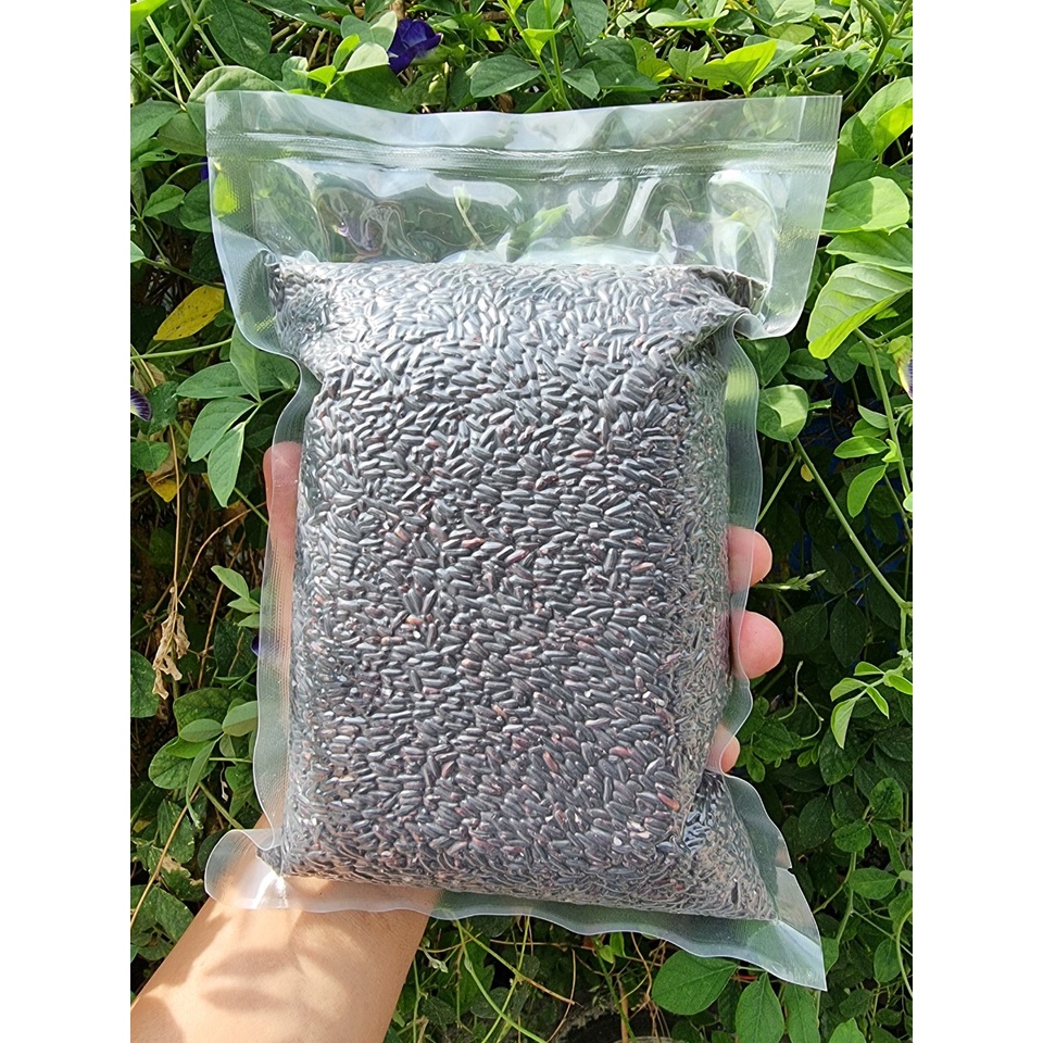 TÚI 1 KG GẠO LỨT ĐEN ĐIỆN BIÊN – DẺO THƠM TỐT CHO SỨC KHỎE