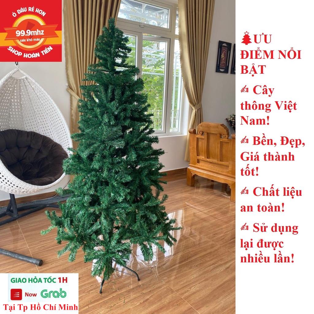 Cây Thông Noel 2m1 (210cm) Trang Trí Noel Giáng Sinh Chân Săt Quà Tặng Noel Kèm Theo 5 Dây Kim Tuyến Và 1 Ngôi Sao