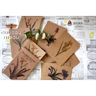 POSTCARD 30 TẤM GIẤY KRAFT-HOA LILY