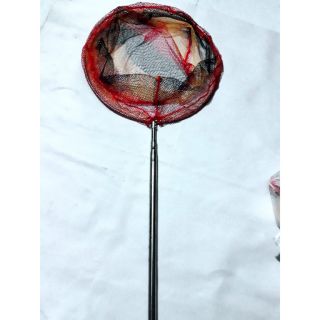 Vợt vớt cá inox tròn lưới mau đẹp