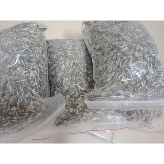 (gói 50 hạt)/ hạt giống CÚC VẠN THỌ BAN MAI