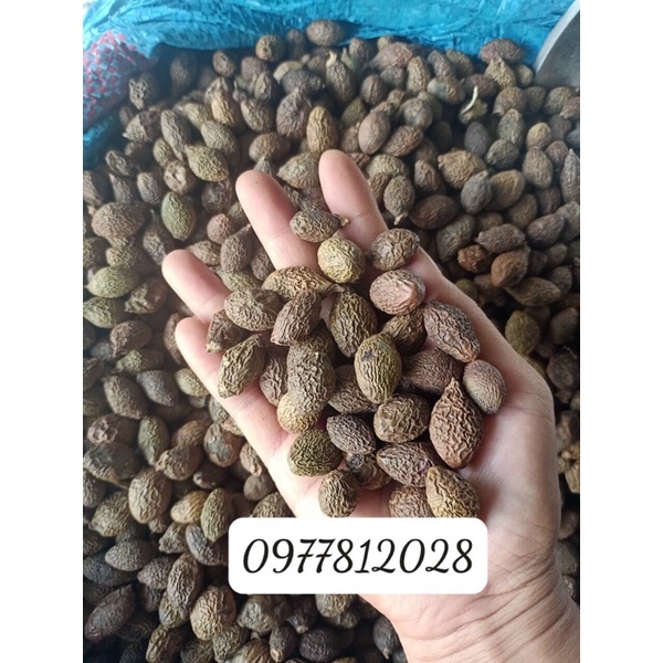 Gói 100gram=50 hạt ươi bay rừng Tây Nguyên to đều, chuẩn từng hạt