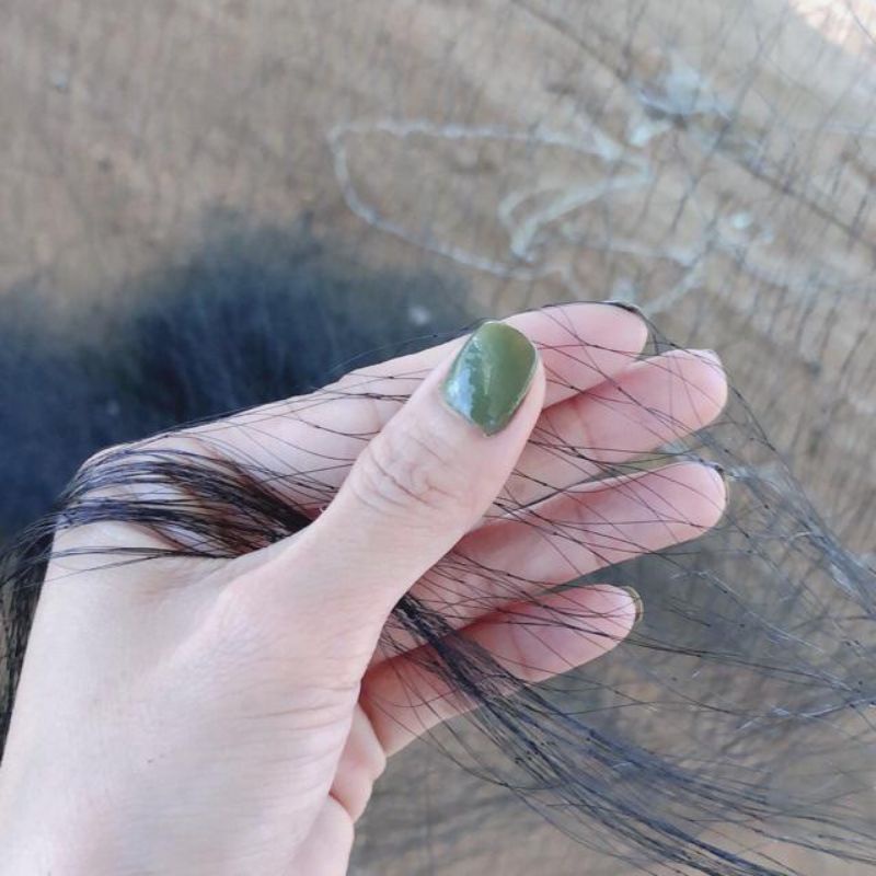 Lưới bẫy chim cu, dẽ giun, vẹt, két. Mắt lưới 8 phân.