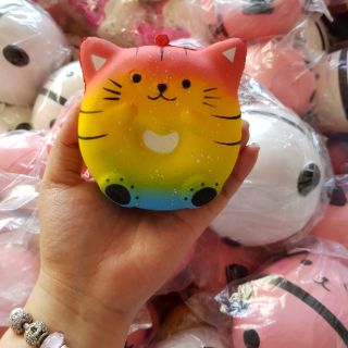 Squishy donut mèo