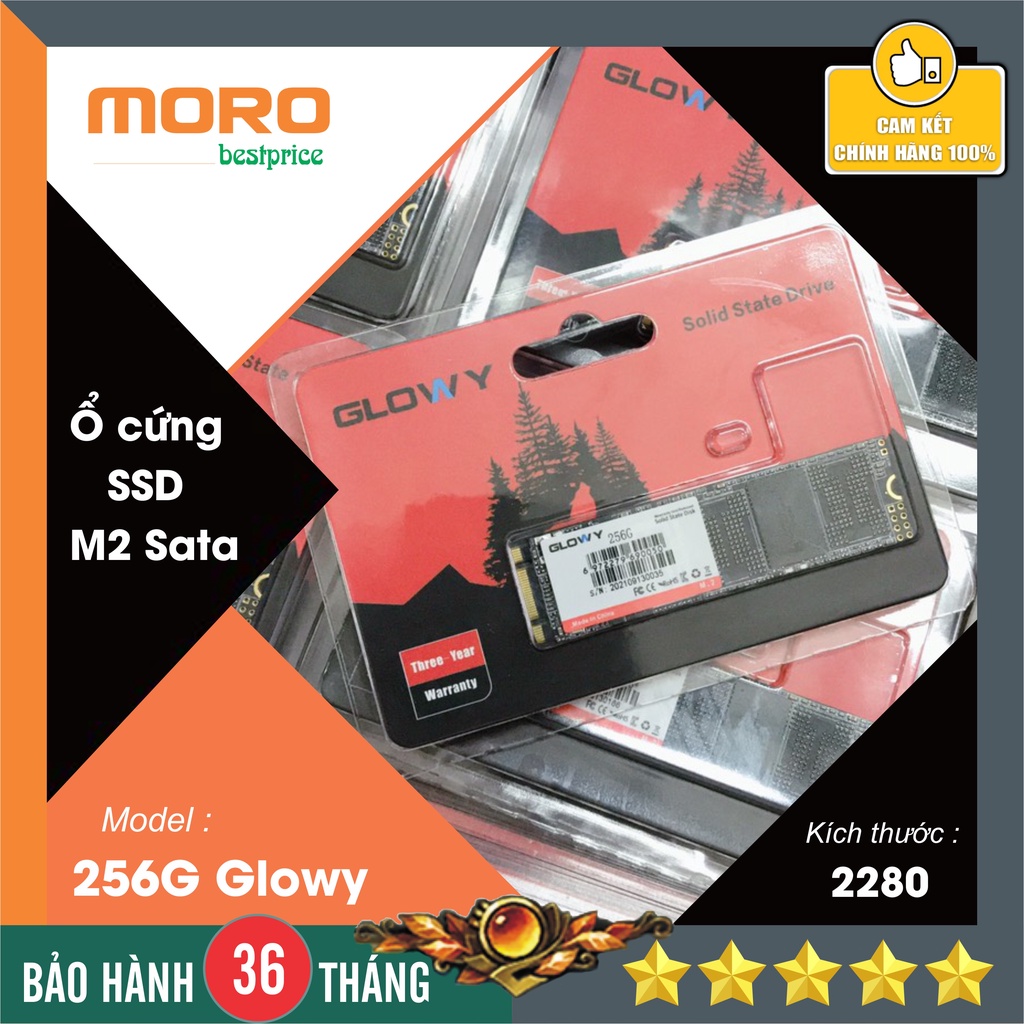 [FLASH SALE] Ổ cứng SSD M2 Sata 128GB/256GB Suneast/Glowy - 2280mm - Hàng chính hãng bảo hành 36 tháng!