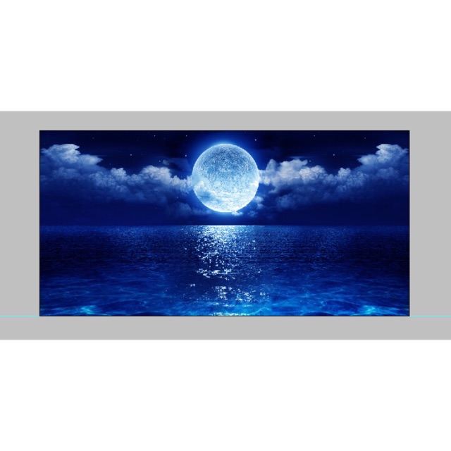 TRANH 3D CHO BỂ CÁ CẢNH KT 150x60