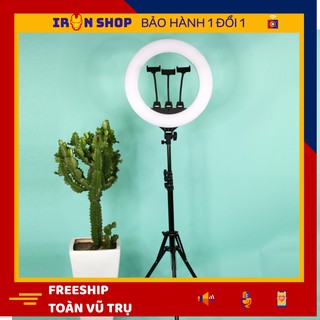 Đèn livestream 45cm - Đèn Make Up, Phun Xăm - đèn live stream kèm chân và 3 kẹp điện thoại