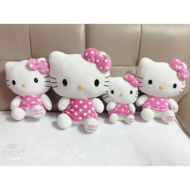 Set gấu kitty
