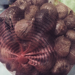 Tỏi đen cô đơn nhà làm 300g