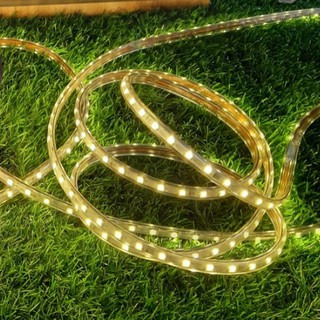 LED DÂY 5050 DÂY ĐƠN VÀNG - COMBO 5M NGUỒN CHỚP NHÁY