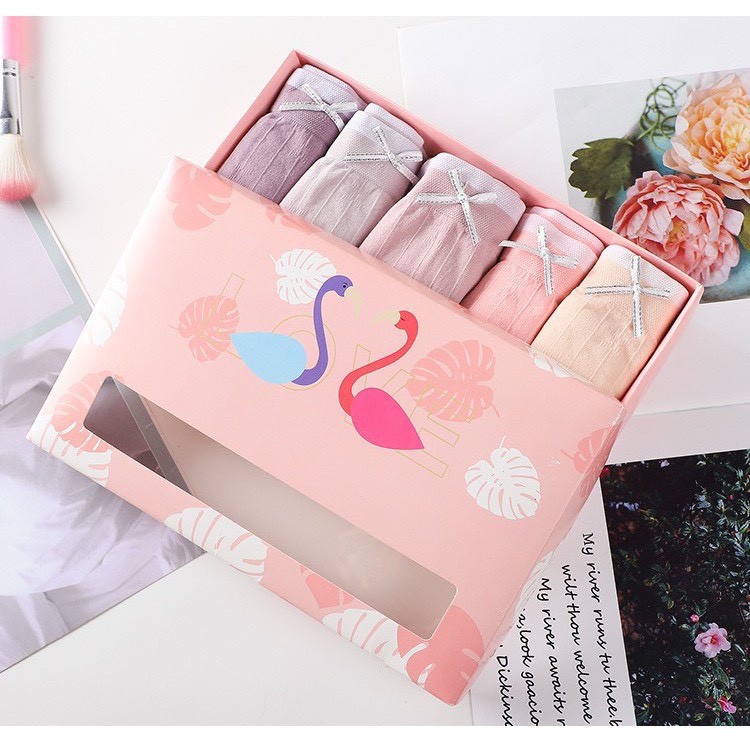 Hộp 5 Quần Lót Thiên Nga Kháng Khuẩn Xuất Nhật, Hàng Cao Cấp Free Size từ 45 đến 65 kg