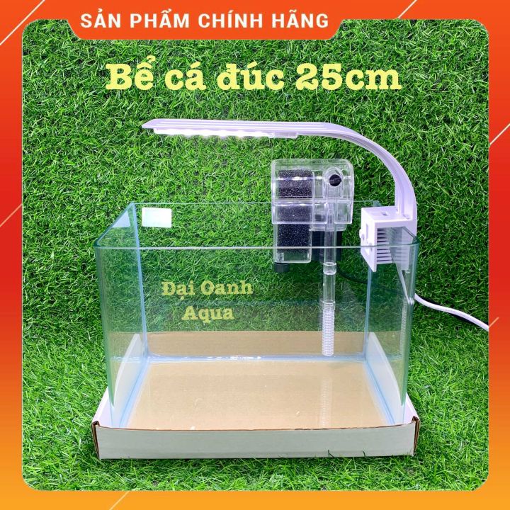 Bộ Bể Cá Kính Đúc Mini 25cm Kèm Đèn Lọc Để Bàn, Dài 25cm Rộng 16cm Cao 18cm - Bể Cá Mini