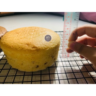 [HCM] Cốt bánh bông lan size 5 inch (~11cm) (cao ~4cm)