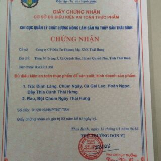 Cà gai leo khô 500g