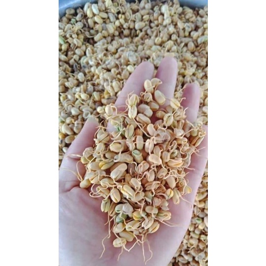 Mầm đậu nành nguyên xơ Queen Bee 500gr cao cấp, hiệu quả sau 1 tháng sử dụng