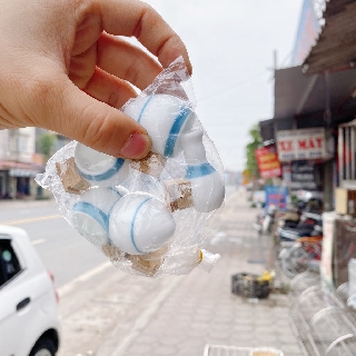 Cóng Chim Vành Khuyên 5