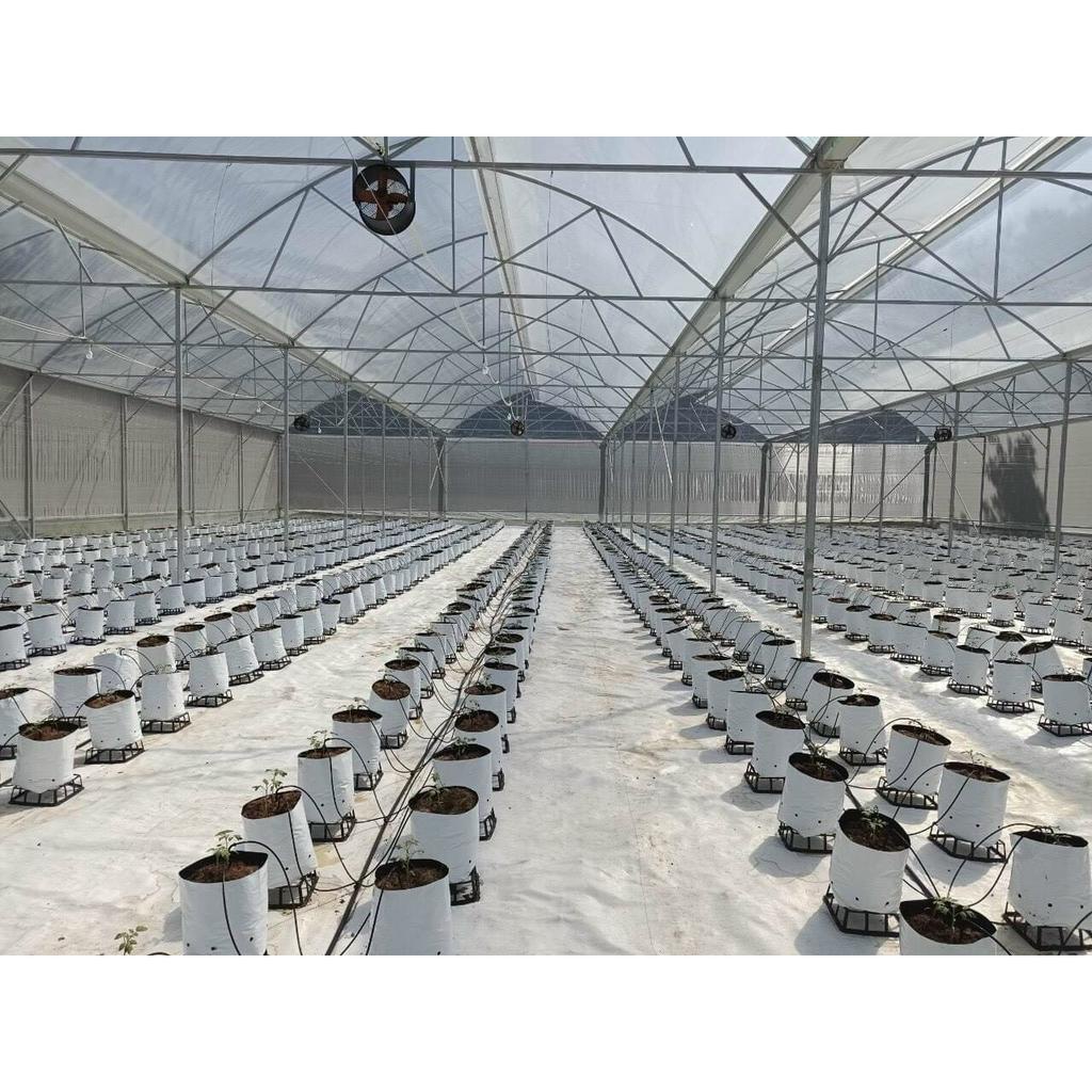 ĐẾ KÊ BẦU GIÁ THỂ