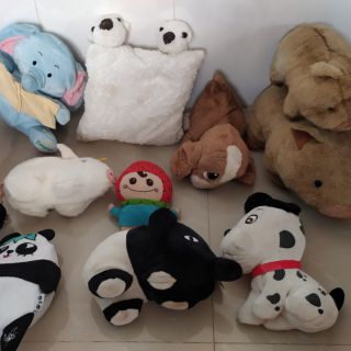 Gấu bông của nhím siêu phàm