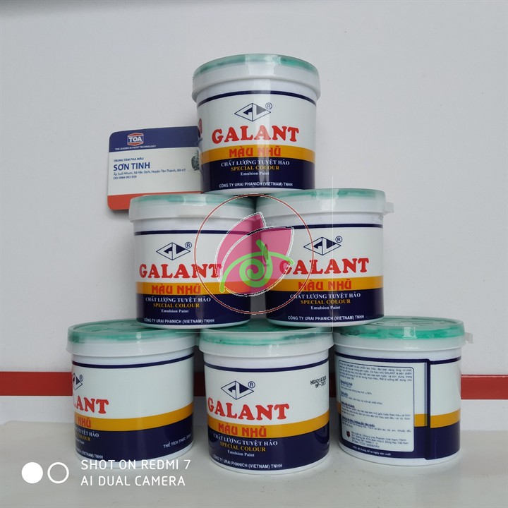 Combo 5 màu Ve màu galant , màu nhũ Galant loại 225ml