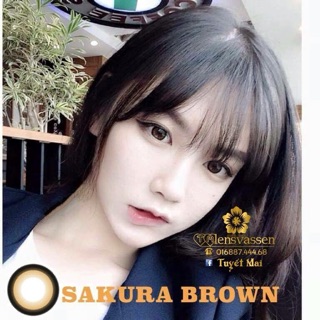 Lens vassen Sakura brown lạ