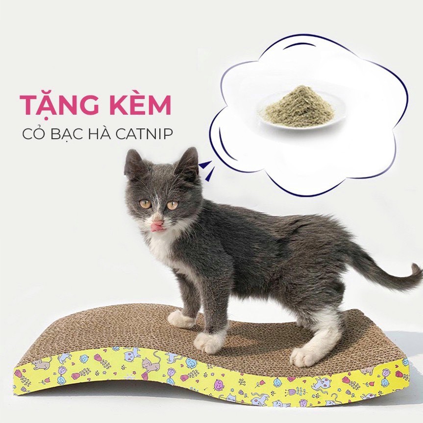 Bàn cào móng cho mèo giảm căng thẳng ( quà tặng cỏ Catnip), đồ cho mèo, đồ chơi cho mèo