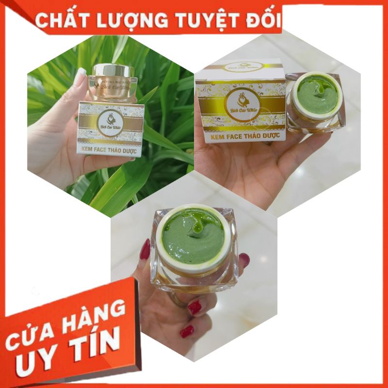 Combo 3 kem trà xanh_BÍCH CAO WHITE được giá sỉ