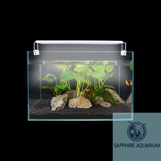 Đèn Bể Cá LED Máng Nhựa Ánh Sáng Trắng Và Đổi Màu RWB 20-60cm