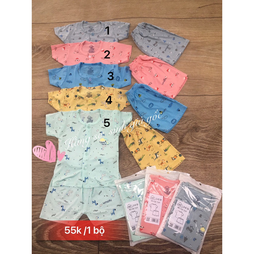 cộc cúc giữa hoa văn unchi peptit
