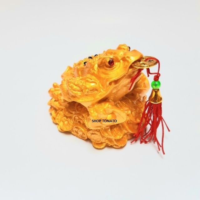 CÓC THIỀM THỪ VIỆT NAM SIZE LỞ CAO 9CM | BigBuy360 - bigbuy360.vn