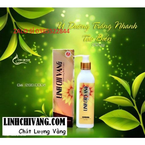 KEM DƯỠNG TRẮNG NHANH BODY TẢO BIỂN LINH CHI VÀNG