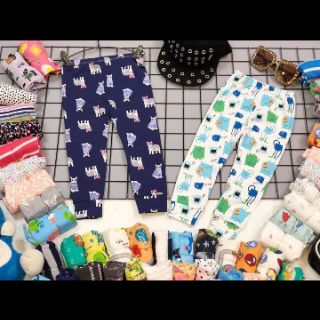 Set quần chục dài bozip