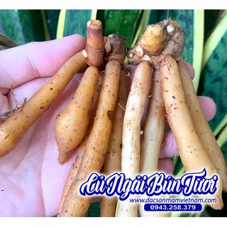 Củ ngải bún tươi