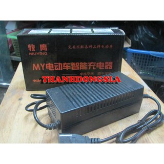 Sạc xe đạp điện 48v12ah Chụp