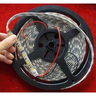 Đèn LED Dây Dán Trang Trí 12VDC Cuộn 5m