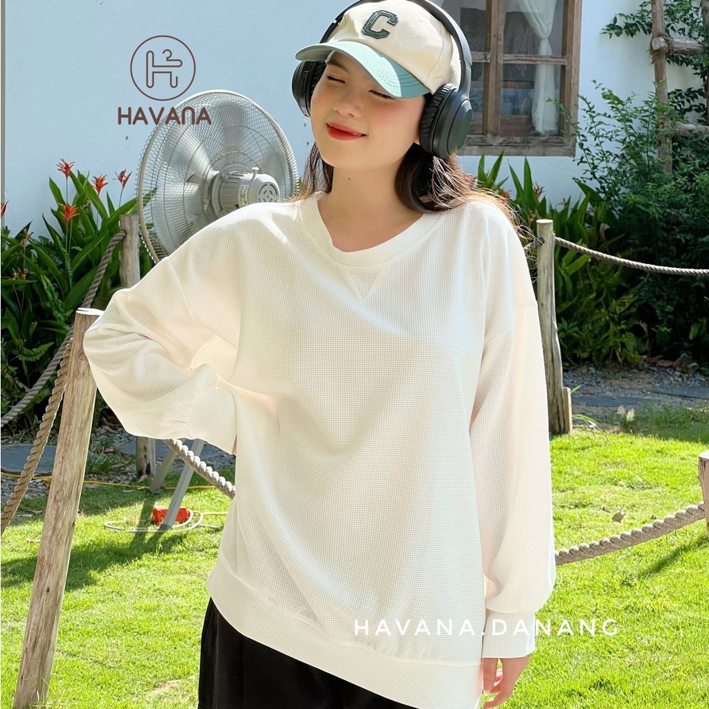 Áo sweater dài tay cổ tròn, áo len tổ ong freesize form rộng nhiều màu basic AE248