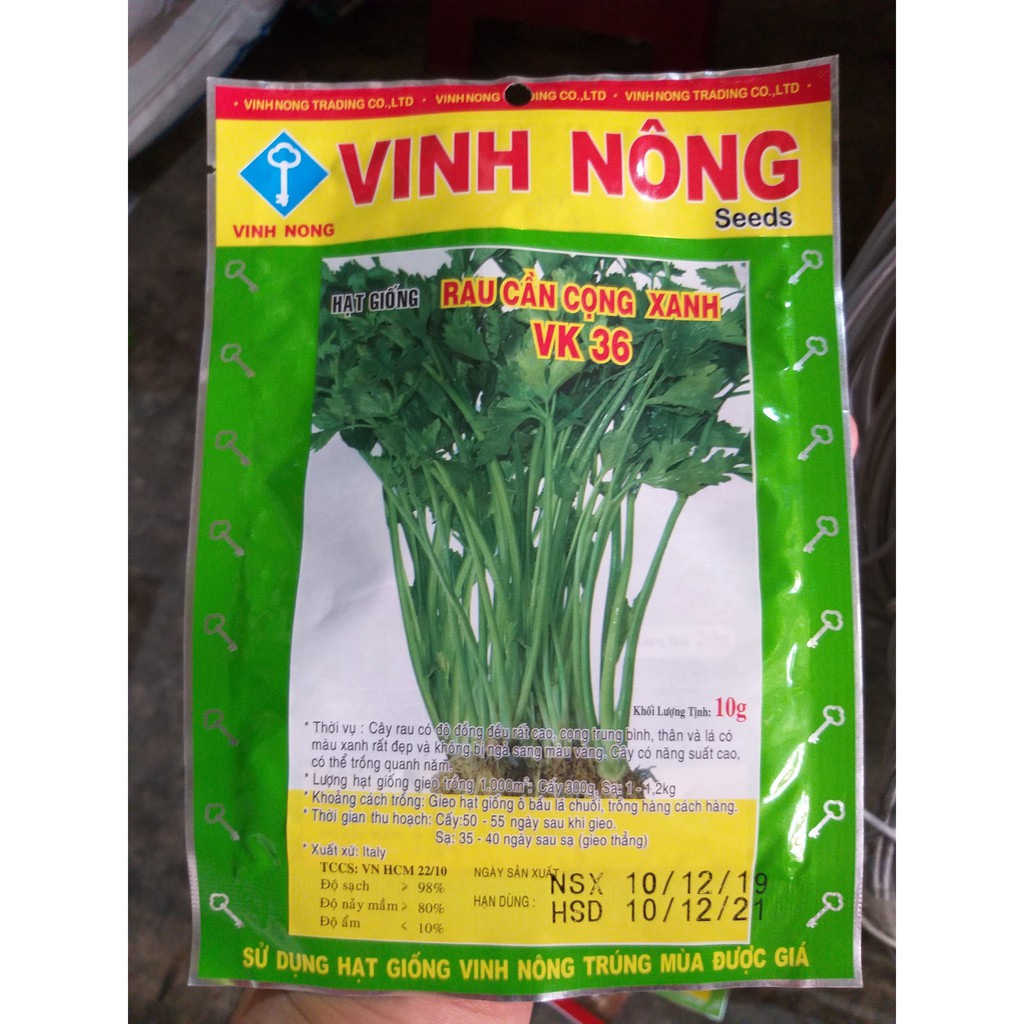 Hạt Giống Rau Cần Xanh (10g) - rau cần cọng xanh