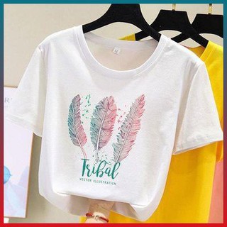 Áo thun nữ rẻ đẹp, vải cotton mềm mịn 1031