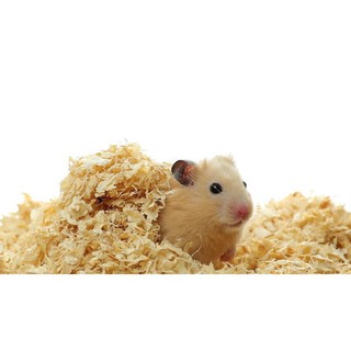 MÙN CƯA THƠM LÓT CHUỒNG HAMSTER 500gr