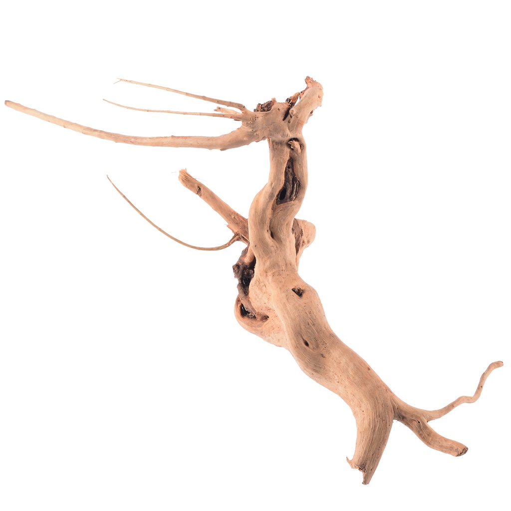 Đồ Trang Trí Hồ Cá Hình Thân Cây Gỗ ☆Bjfranchisesky