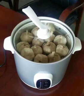 Máy làm tỏi đen