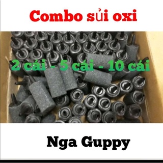 Sủi oxi nuôi cá cảnh - Nga Guppy