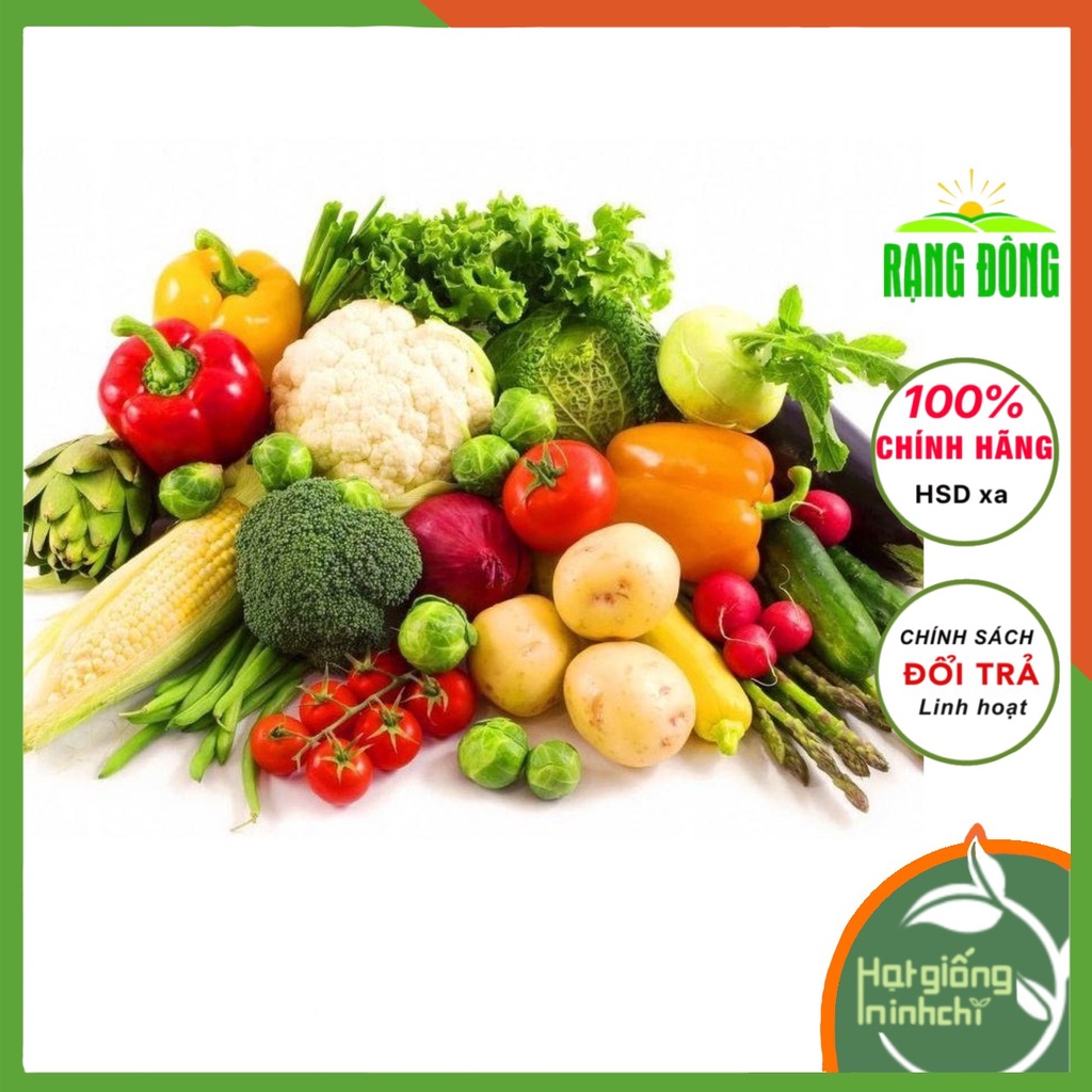 Hạt giống Bí Ngòi quả dài RADO 639 giống bí Nhật Bản