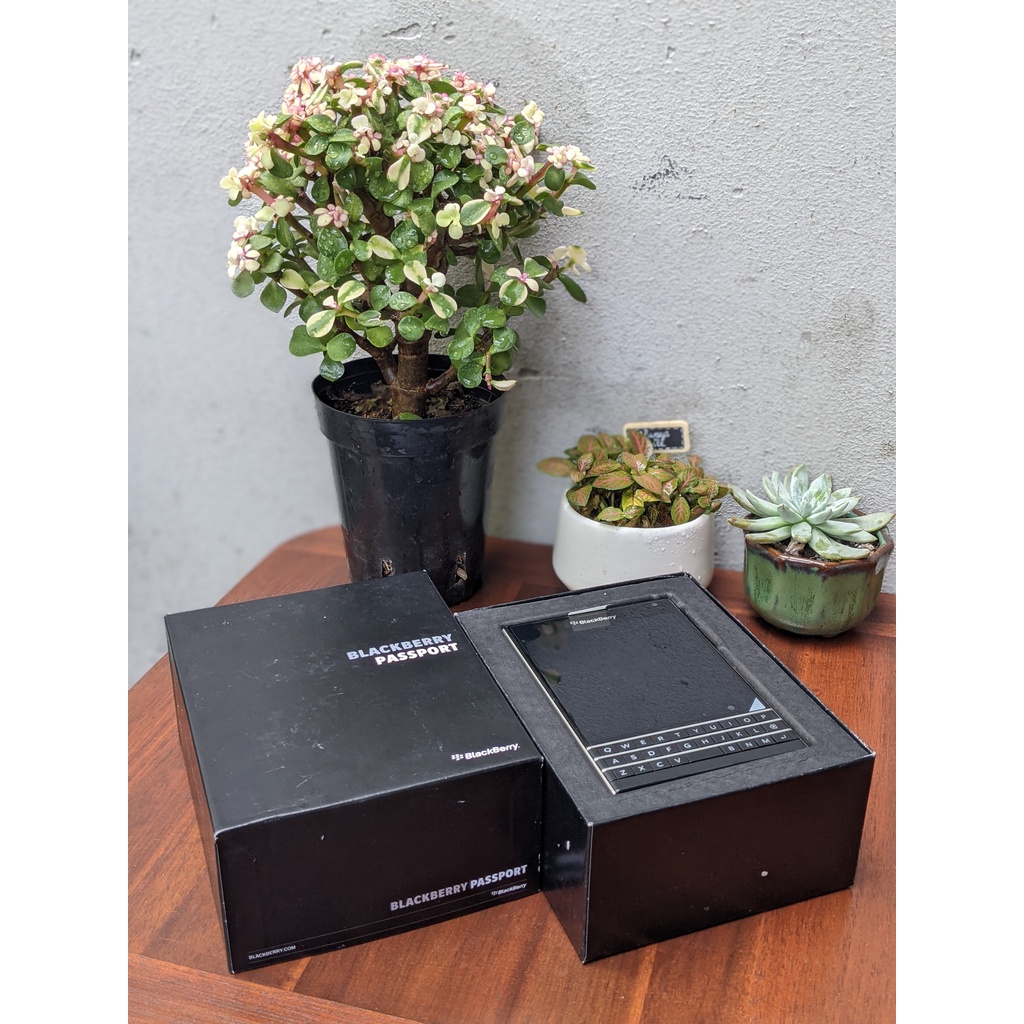 Điện Thoại BlackBerry Passport New Fullbox