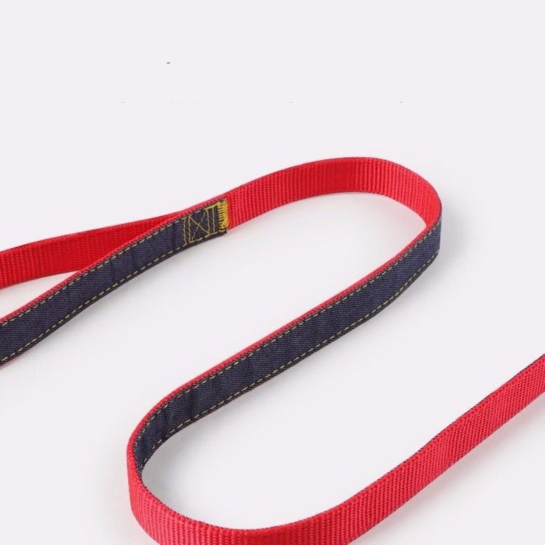 Dây dắt thú cưng đi dạo tiện lợi