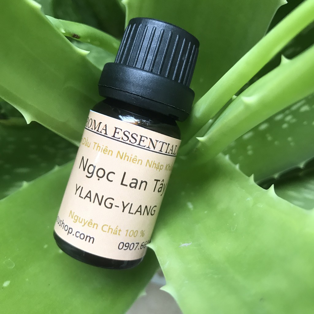 Tinh dầu ylang ylang ngọc lan tây thơm phòng